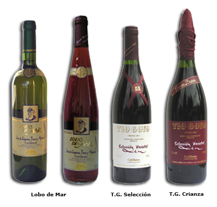 vinos cariñena