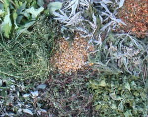 Hierbas aromáticas