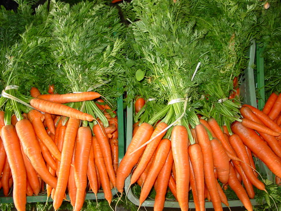 Zanahorias