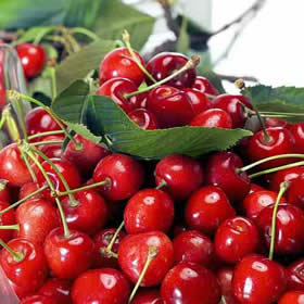 Cerezas