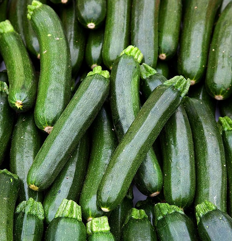 Pepinos
