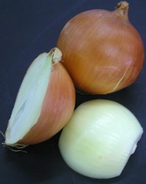Cebolla