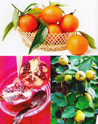 frutas de otoño
