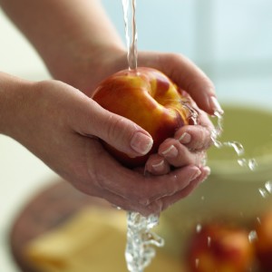 higiene de alimentos