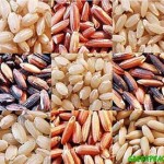 variedades de arroces