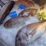 conservacion del pescado