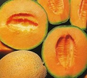 fruta-melon