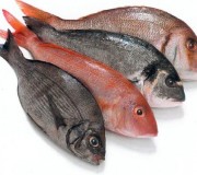 pescado