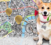 encuentra a rufus y gana un viaje a londres