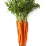zanahorias