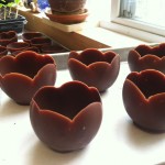 copas-de-chocolate-con-globos