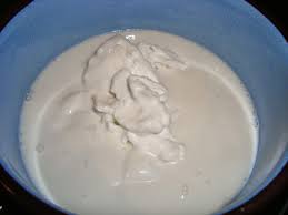 Natillas de coco (SANKHAYA)