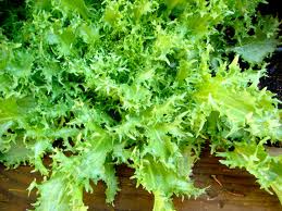 Guarnición para caza