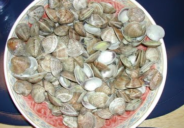 Almejas al vapor