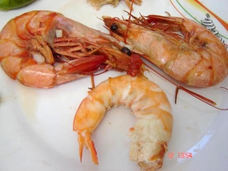 Camarones al champán