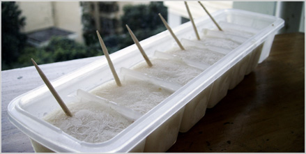 Helado de mangostán con nuez